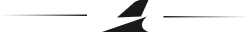 Jet Icon